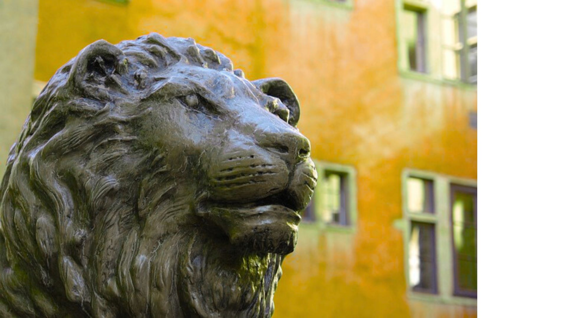 Balade d’architecture : 3 immeubles lyonnais emblématiques à voir absolument